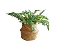 Hhmmei2024-23 Pot de Fleurs Grand Panier de Fleurs Luxe, jardinière tissée spécifique aux Oiseaux du Paradis et Monstres, en Osier Extra-Large Jardinières(Petit)