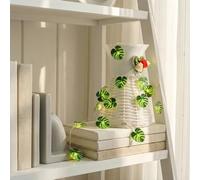 HHMTAKA Guirlande lumineuse de 3 m avec 30 LED à piles - Blanc chaud - Pour la maison, la cuisine, le jardin, le bureau, la décoration murale de mariage (fougère écaille)