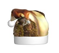 hhxvcv Chapeau de Noël amusant avec imprimé écureuil pour adultes - Chapeau de Père Noël unisexe, cadeaux de Noël, Nouvel An, couvre-chefs festifs de vacances