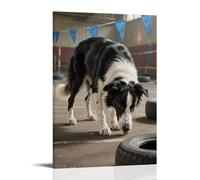 HHYXMJLL Poster mural décoratif avec inscription « A Border Collie Sitting on The Ground Eyes Looking at its Owner » - 20 x 30 cm
