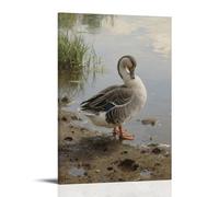 HHYXMJLL Poster mural décoratif avec inscription « A Domestic Duck Preening on The Shore, Webbed Feet on Wet Mud » - 20 x 30 cm