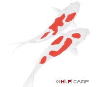 Hi-Fi Camp - Koi [Import]
