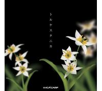 Hi-Fi Camp - Turkestanica