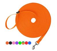 Hi Kiss Dog/Puppy Laisse d'entraînement pour Chien - 4,6 m, 6,1 m, 9,1 m, 15,2 m, 30,5 m - Idéal pour l'entraînement, Le Jeu, Le Camping ou la Cour - Orange 30,5 m