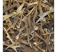 Hi Life Living Nature 1kg Mix Cornes de Chevreuil, Massacre Chasse Bois de cerf FR