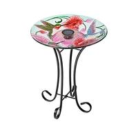 Hi Line Gift Ltd. Bain d'oiseaux Solaire à LED en Verre avec Support - Colibri et Coquelicots