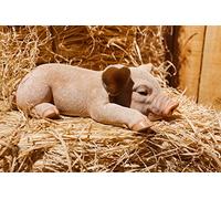 Hi- Line Gift RUNADI 87686-A Statue de Cochon endormi