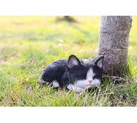 Hi- Line Gift RUNADI 87699-B Statuette Chat endormi Noir/Blanc