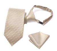 Hi-Tie Ensemble de cravates pré-nouées en soie pour garçon de 8 à 11 ans - Cravate et carré de poche pour mariage - Bleu, rouge, vert, Champagne B., M