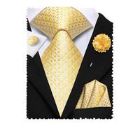 Hi-Tie Ensembles de cravates pour homme avec pochette, épingles de revers et boutons de manchette en soie tissée pour mariage et soirées formelles, Jaune/carreaux, 59 inches (150 cm) x 3.3 inches (8.3