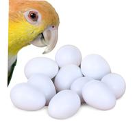HIAKDOFT 10 pièces Lot de Œufs Oiseaux Factices Réalistes pour Élevage Matériel Sûr et Sain Outil de Simulation pour Maintenir Activité de et Réduire Taux Échec