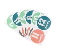 HIAKDOFT 12 Pièces Autocollants Garçon Fille Mois Milestone Sticker Autocollant Mural pour Photo Décoration Chambre Infantile Souvenir Premier Anniversaire