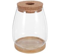 HIAKDOFT 2 Kits de Vases Hydroponiques en Verre pour Propagation de Plantes avec Bouchon en Liège Percé et Plateau en Bambou, Grosse Taille, pour Jardinage Intérieur, Bureau et Décoration