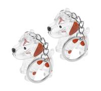 HIAKDOFT 2 pièces Boîte Mémoire Poils de Chien Porte-clés Commémoratif Animaux Compagnie Accessoire Pochette Compact pour Souvenirs Rangement Poils et Trésors Sentimentaux