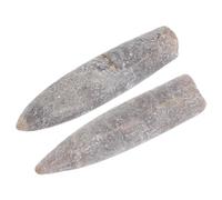HIAKDOFT 2 Pièces Spécimens Bélemnite Naturels Fossiles pour Enseignement Géologie Paléontologie Décor Éducatif Minéral Ancien