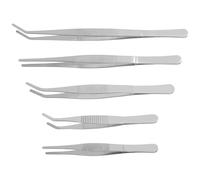 HIAKDOFT 5 pièces Pinces à épiler Jardinage Acier Inoxydable Outils Précis pour Plantes Grasses et Petits Plants Kit Pratique pour Entretien et Décoration de Jardin Intérieur et Extérieur