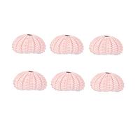 HIAKDOFT 6 Pièces DIY Sea Urchin Air Plant Pots Creative Conch Shell Succulent Holders for Home Office Décor Bord de Mer Couleur Aléatoire