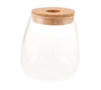 HIAKDOFT Bouteille De DIY Verre Transparent Terrarium pour Plantes Hydroponiques pour Bryophytes Et Mousse Décor Compact Et Facile à Entretenir