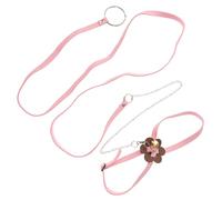 HIAKDOFT Harnais pour Tortue avec Laisse Réglable Corde Respirante pour Promenade Sécurisée des Reptiles Petites Couleur Aléatoire Couleur Aléatoire