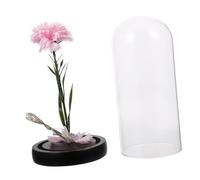 HIAKDOFT Lampe LED Fleur Œillet sous Cloche Verre Rose pour Décoration et Cadeau Fête des Mères Éclairage Dambiance Romantique