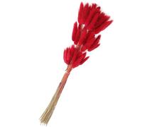 HIAKDOFT Lot de 60 Brins d'herbe Séchée Queue de Lapin Couleur Rouge Foncé, Décoration Intérieure Soi-même, Accessoire Naturel pour Compositions de Fleurs Séchées et Décoration de Mariage