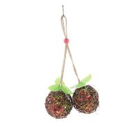 HIAKDOFT Mâcher pour Perroquets Résistant à Usure Balle Suspendue à Grignoter pour Cage Oiseaux Stimule Le Jeu et Soulage Ennui des Conures et Perruches