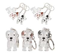 HIAKDOFT Porte-Clés Commémoratif pour Poils D’Animaux 9 Pièces - Boîte Transparente de Rangement pour Poils de Chien et Chiot - Capsule Souvenir Portable pour Collection et Mémoire Animale