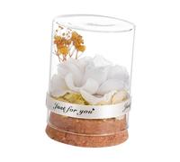HIAKDOFT Rose Immortelle sous Cloche Verre Décoration pour Maison et Bureau Cadeau Romantique Personnalisable pour Noël et Saint Valentin