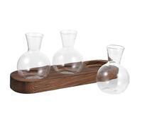 HIAKDOFT Set de Vases Verre Transparent avec Base Bois pour Plantes Hydroponiques Vase à Bouture pour Décoration Maison Bureau et Salon Support Élégant pour Arrangement Floral