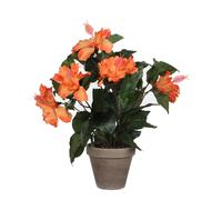 Hibiscus Artificielle Orange En Pot H40