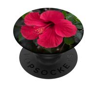 Hibiscus exotique rouge vert vif formes fleurs tropicales mania PopSockets PopGrip Interchangeable