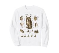 Hibou Anatomie Vintage Field Guide Diagramme Nature Art Sweatshirt