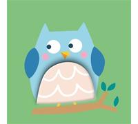 Hibou Coucou et doudou - Collectif - Tam-Tam - broché - Album jeunesse