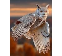 Hibou Diamond Painting, 5D Diamond Painting Adulte Aile, DIY Activité Manuelle Adulte, 5D Diamant Point de Croix, Peinture Diamant Enfant Kits, Decoration Maison, Cadeau Decoration, 100x135cm 5-1529