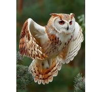 Hibou Diamond Painting, 5D Diamond Painting Adulte Oiseau, Peinture Diamant Enfant Kits, DIY Activité Manuelle Adulte, Diamant Point de Croix Kits, Decoration Chambre, Deco Automne, 90x120cm 8-8526