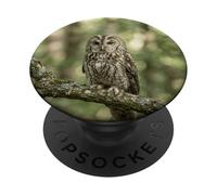 Hibou forêt Faune Branche Arbre forêt scène Oiseau PopSockets PopGrip Adhésif