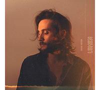 Hibou Moyen - Lumen