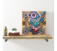 Hibou Peinture Diamant 5d En Forme Spéciale, Kit De Broderie, Couture, Strass En Cristal, Point De Croix, Bricolage, Livraison Directe