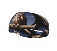 Hibou Under The Moon Yoga Sports Fitness Bandeau, Unisexe Running Basketball Elastique Bandeau Sport Absorption de Sueur, Bandeau