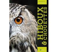 Hiboux & chouettes