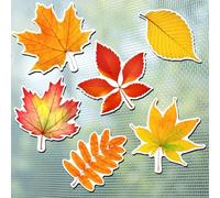 Hicarer 12 Pièces de 6 Paires d'Aimants d'Écran Flexibles en Feuille d'Érable de Thanksgiving Aimant de Porte Moustiquaire Double Face Automne Décoration pour Écran Porte Coulissante Fenêtre