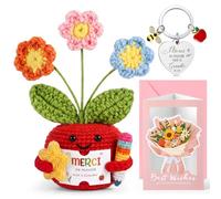 Hicarer Cadeau Maîtresse d'École 3 Pièces, Maîtresse Pomme | Petite Poupée Fleur au Crochet Fait-Main, Porte-Clés, Carte de Vœux avec Marguerite, pour Professeur Départ Fin d'Année