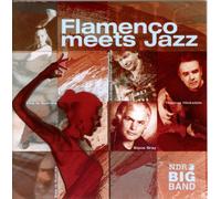 Hickstein,Thomas - Flamenco Meets Jazz [Import]