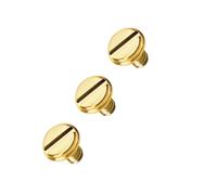 HiCycle2 Lot de 3 vis plates de 4,1 mm de rechange pour bracelet Cartier Love Taille 16-19 (doré)