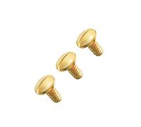 Hicycle2 Vis de rechange pour bracelet Cartier Love en acier inoxydable de qualité supérieure (doré)