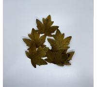 Hidden Airsoft Feuilles d'érable simples - Marron clair, HA-SINGLE-AB-050
