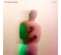 Hidden Cameras,the - Bronto (Black Vinyl) [Import]