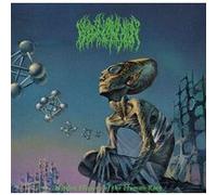 Hidden History Of The Human Race Vinyle Vert Transparent