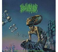Hidden History Of The Human Race Vinyle Vert Transparent