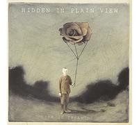 Hidden in Plain View - Life in Dreaming